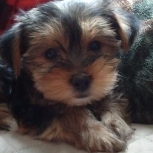 Meet your Posher, Maria